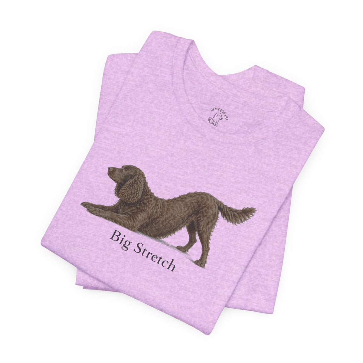 Big Stretch American Water Spaniel T-Shirt