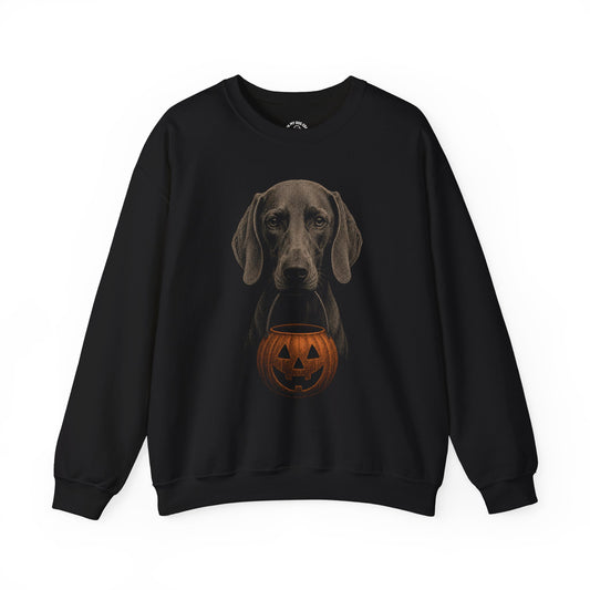 Weimaraner Halloween Sweatshirt – Boop or Treat