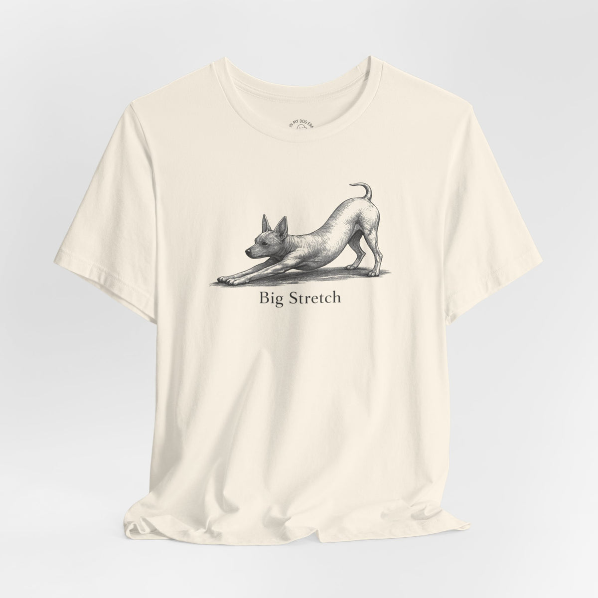 Big Stretch American Hairless Terrier T-Shirt