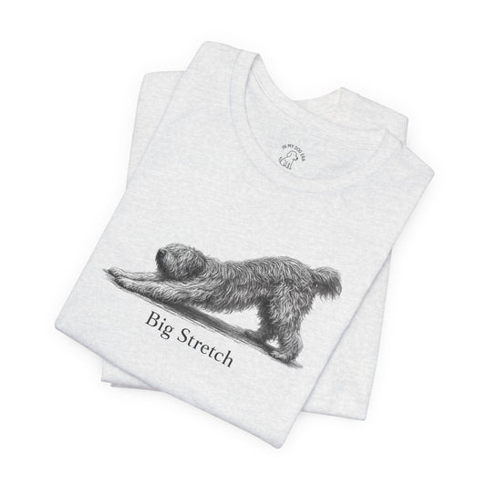 Big Stretch Briard T-Shirt
