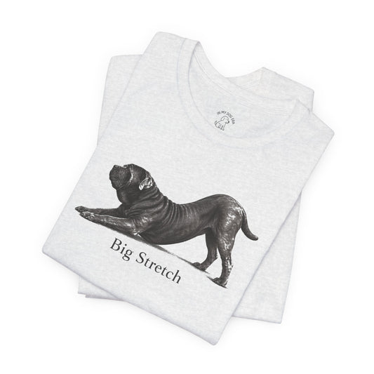 Big Stretch Neapolitan Mastiff T-Shirt