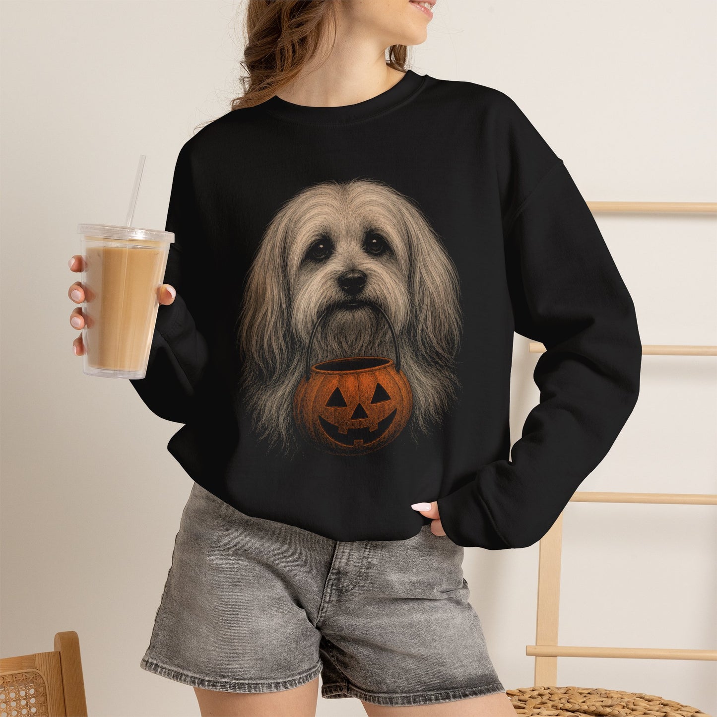 Havanese Halloween Sweatshirt – Boop or Treat