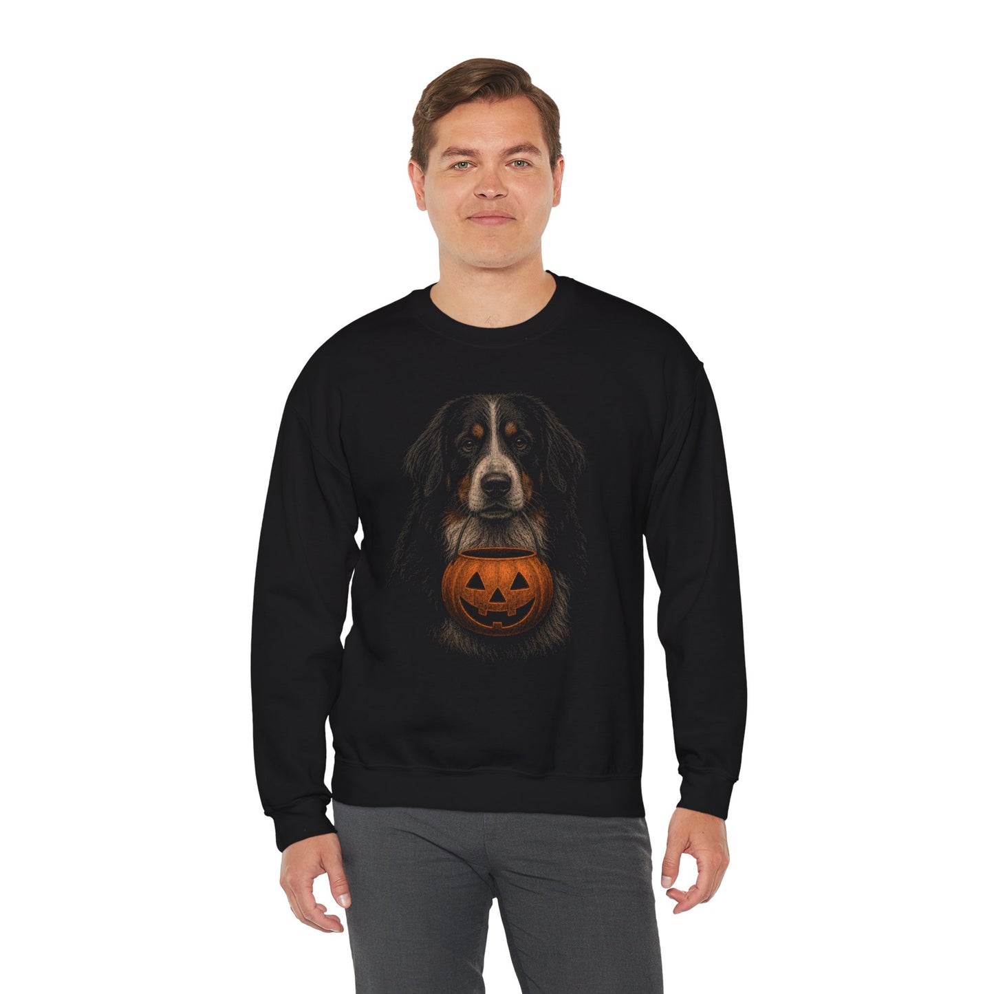 Bernese Mountain Dog Halloween Sweatshirt – Boop or Treat