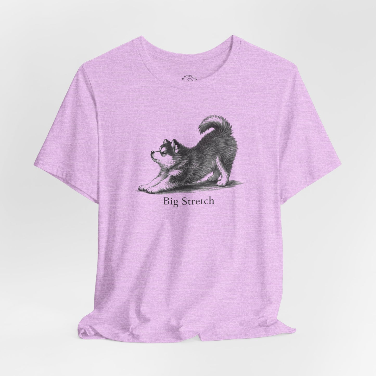 Big Stretch Pomsky T-Shirt
