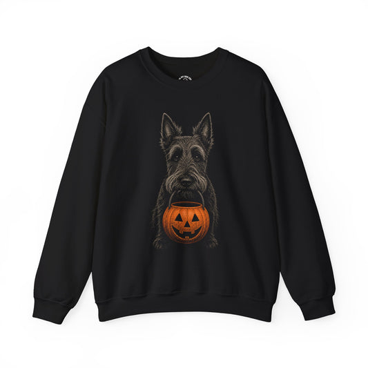 Scottish Terrier Halloween Sweatshirt – Boop or Treat