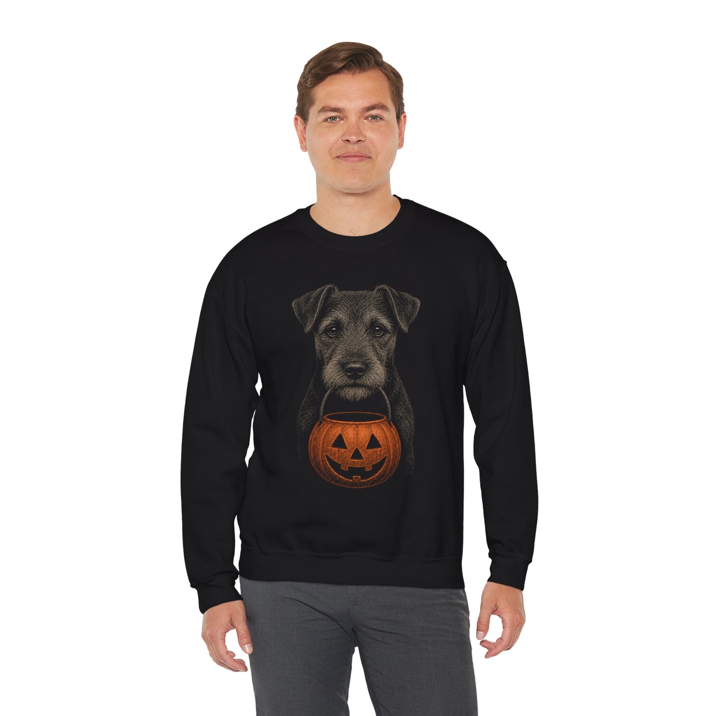 Patterdale Terrier Halloween Sweatshirt – Boop or Treat