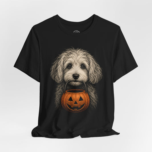 Cavachon Halloween T-Shirt – Boop or Treat