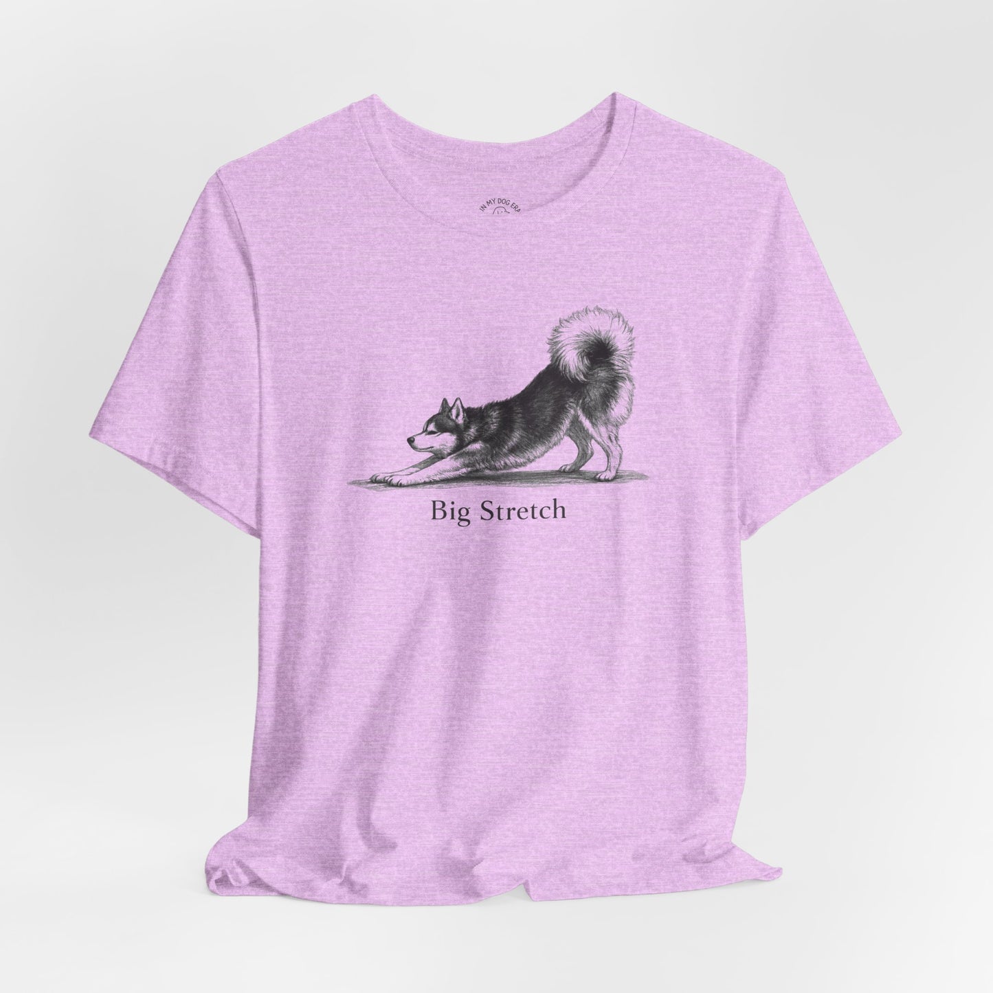 Big Stretch Alaskan Klee Kai T-Shirt