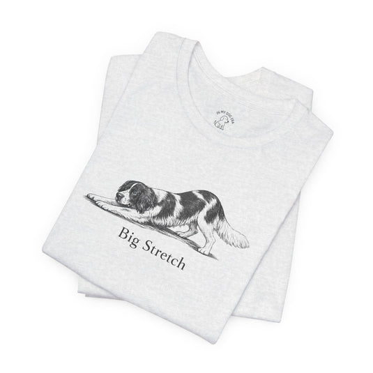 English Springer Spaniel Apparel & Gifts