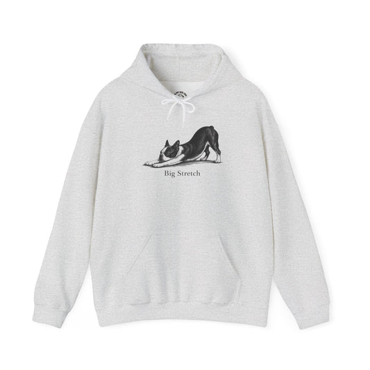 Big Stretch Boston Terrier - Hoodie