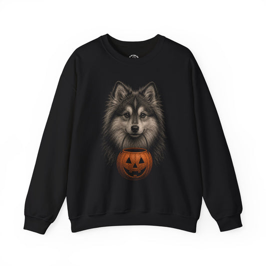Pomsky Halloween Sweatshirt – Boop or Treat