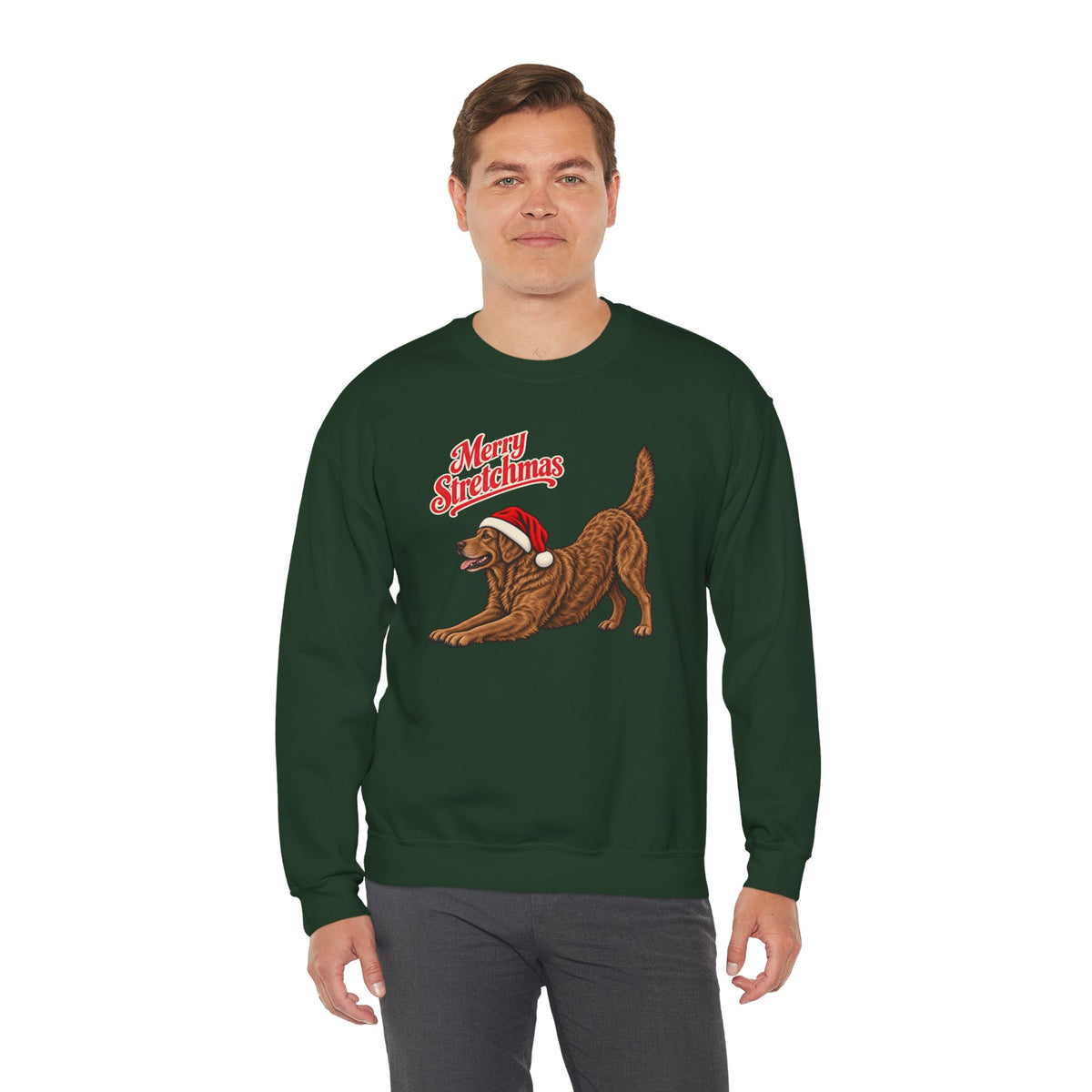 Chesapeake Bay Retriever Christmas Sweatshirt | Merry Stretchmas