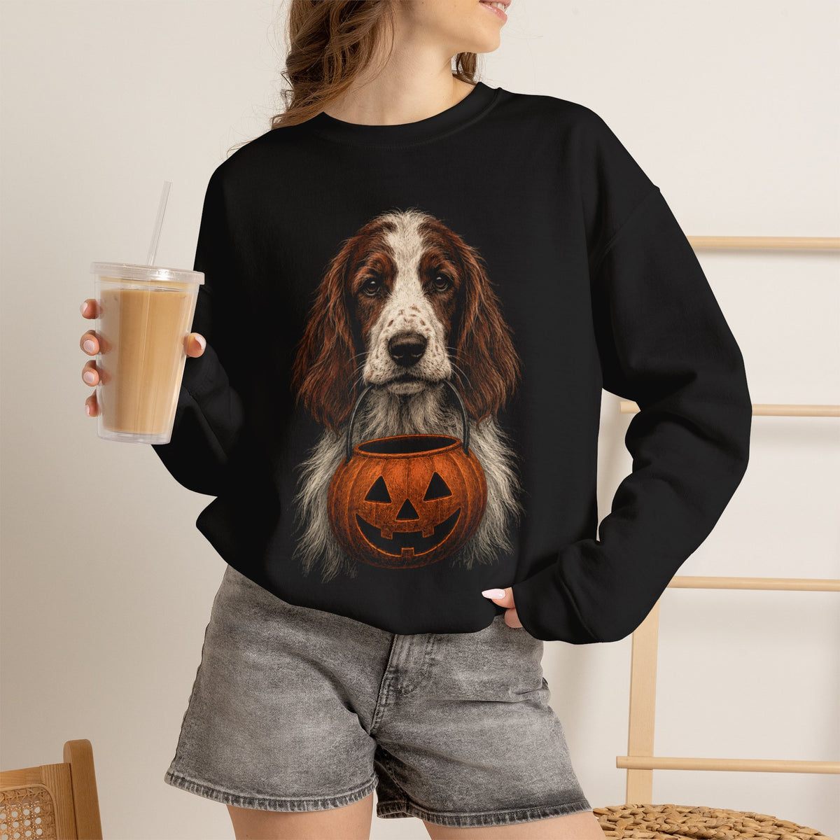 Irish Red and White Setter Halloween Sweatshirt – Boop or Treat