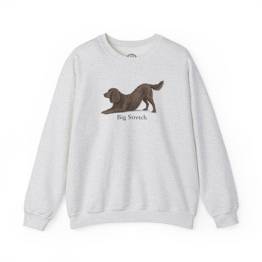 Big Stretch American Water Spaniel Sweatshirt
