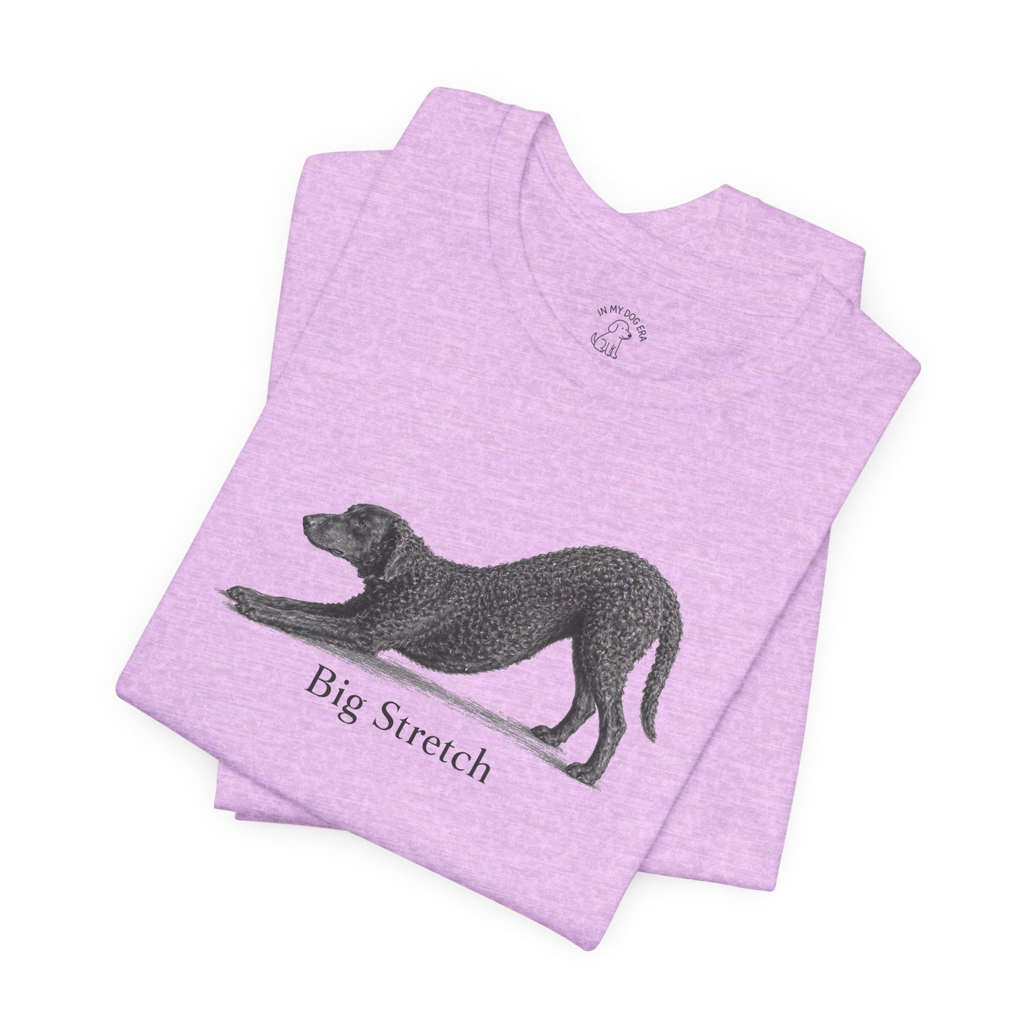 Big Stretch Curly Coated Retriever T-Shirt