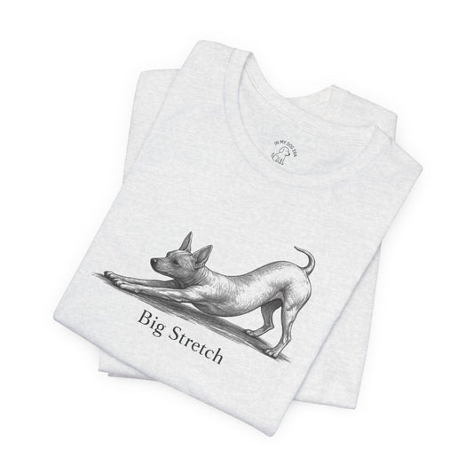 Big Stretch American Hairless Terrier T-Shirt
