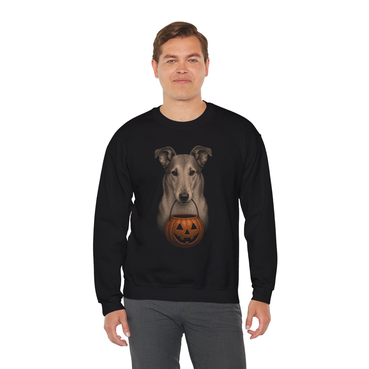 Smooth Collie Halloween Sweatshirt – Boop or Treat