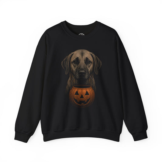 Black Mouth Cur Halloween Sweatshirt – Boop or Treat