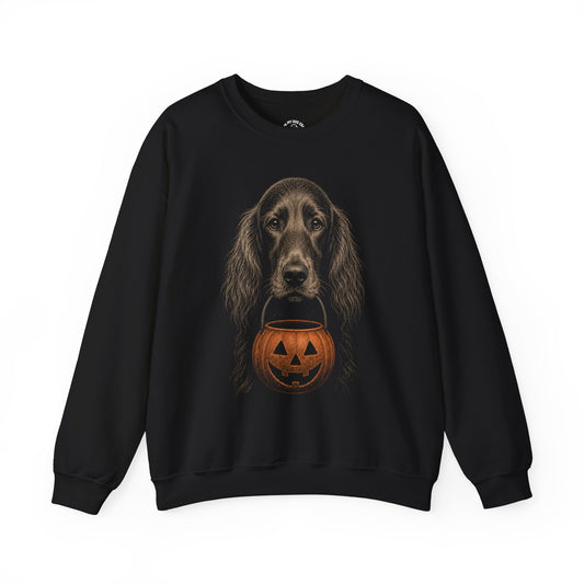 Irish Setter Halloween Sweatshirt – Boop or Treat