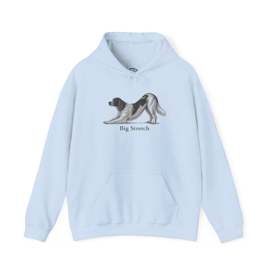 Big Stretch Irish Red and White Setter - Hoodie