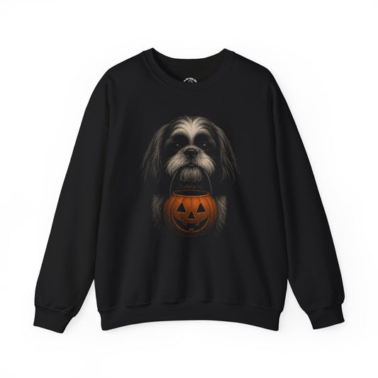 Shih Tzu Halloween Sweatshirt – Boop or Treat