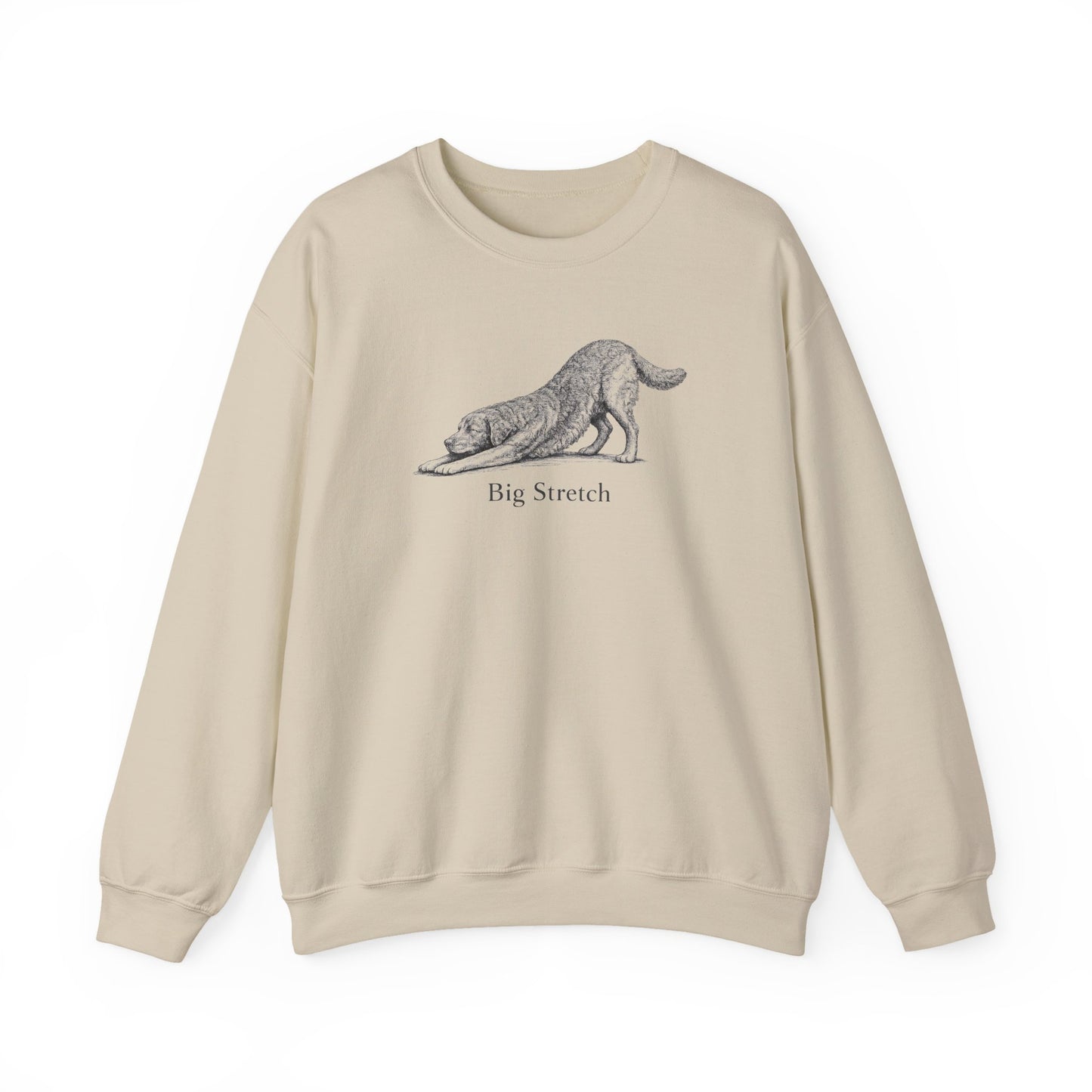 Big Stretch Chesapeake Bay Retriever Sweatshirt