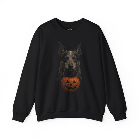 Australian Cattle Dog Halloween Sweatshirt – Boop or Treat