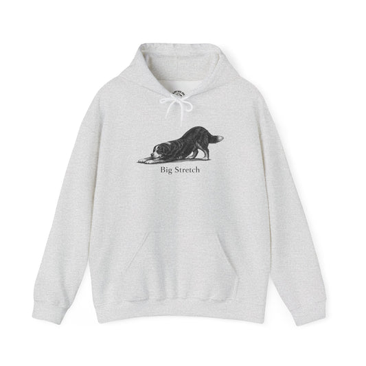 Big Stretch Bernese Mountain Dog - Hoodie