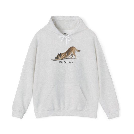 Big Stretch Belgian Malinois - Hoodie
