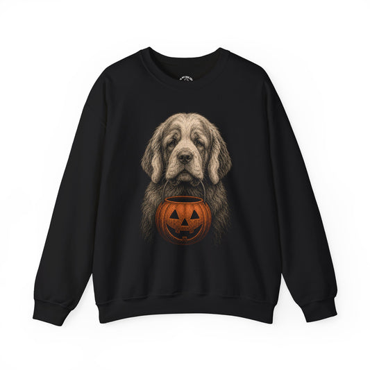 Clumber Spaniel Halloween Sweatshirt – Boop or Treat