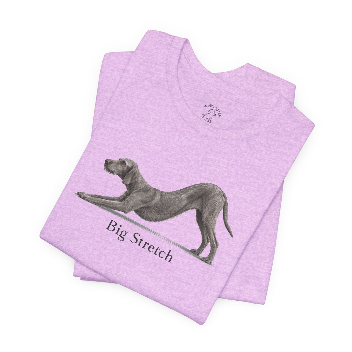 Big Stretch Wirehaired Vizsla T-Shirt