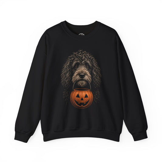 Barbet Halloween Sweatshirt – Boop or Treat