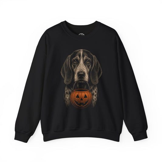 American English Coonhound Halloween Sweatshirt – Boop or Treat