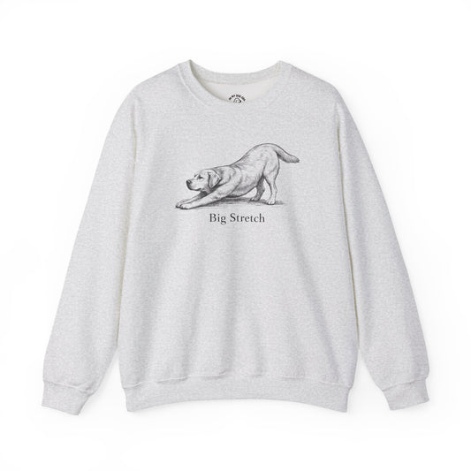 Big Stretch Yellow Labrador Retriever Sweatshirt
