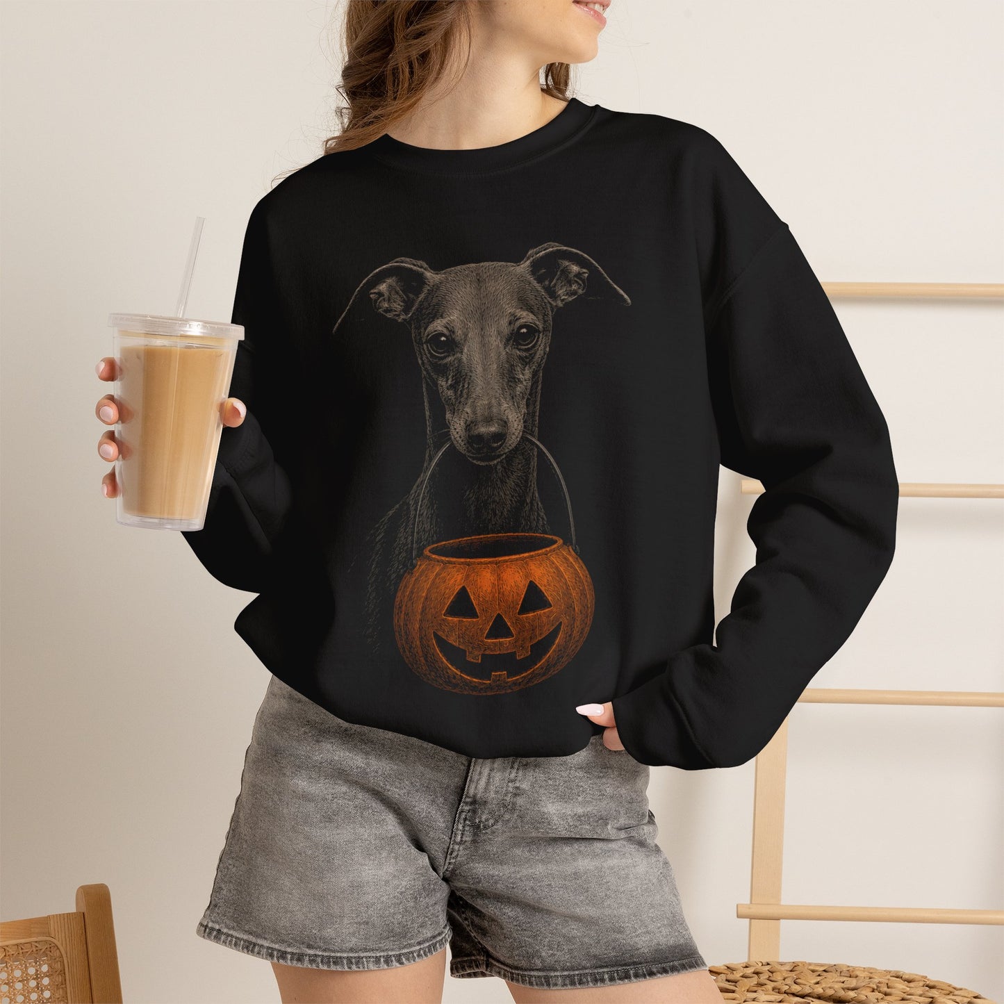 Italian Greyhound Halloween Sweatshirt – Boop or Treat