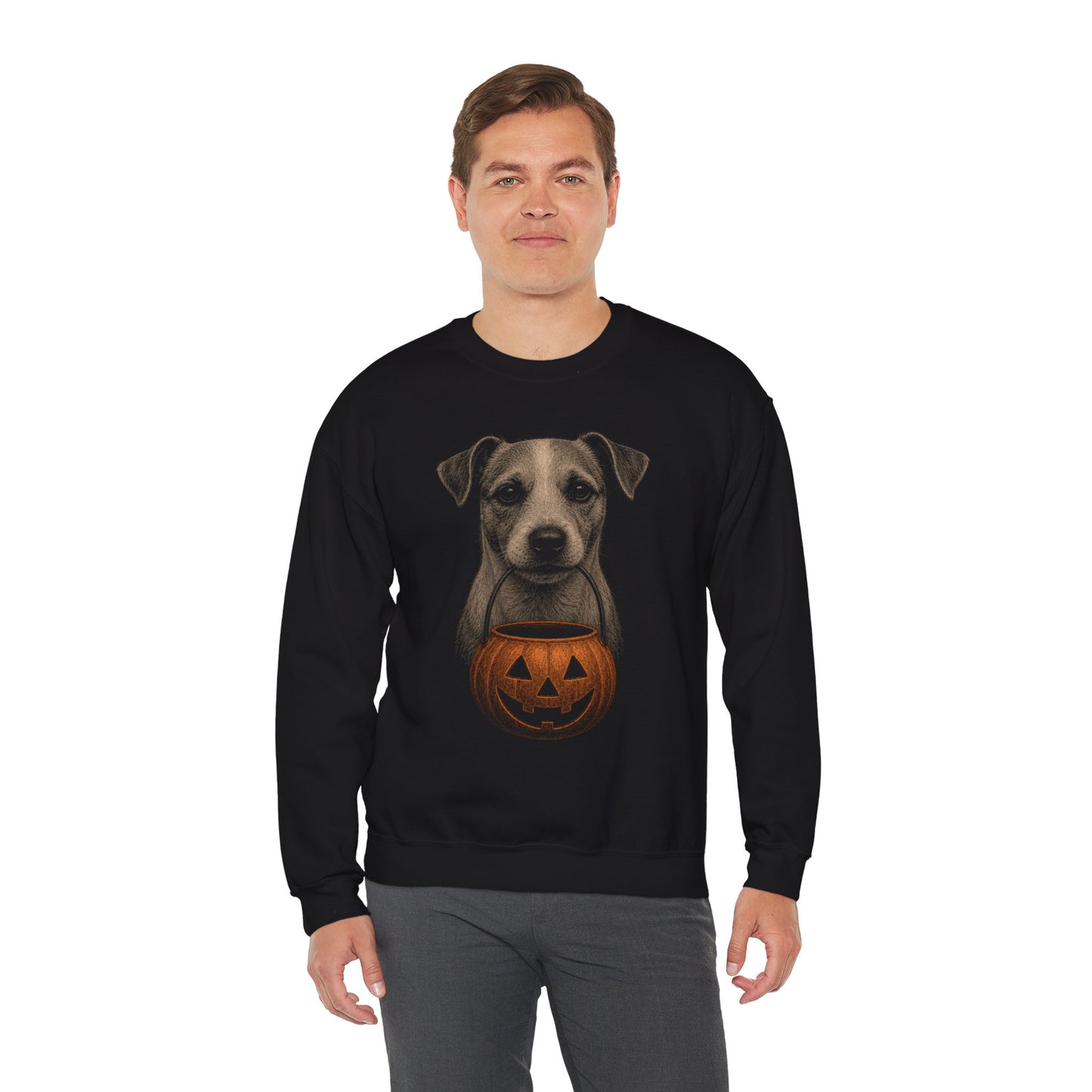 Jack Russell Terrier Halloween Sweatshirt – Boop or Treat