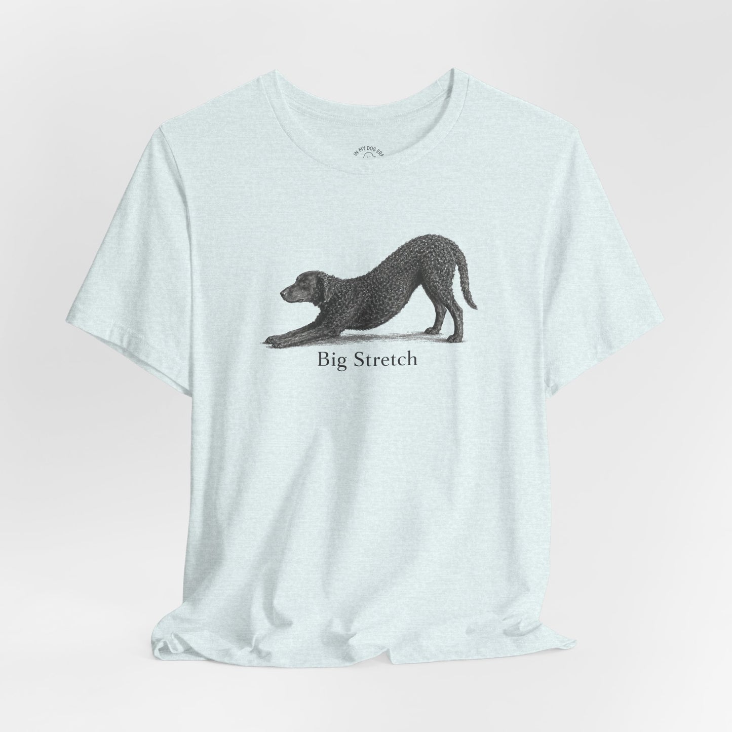 Big Stretch Curly Coated Retriever T-Shirt
