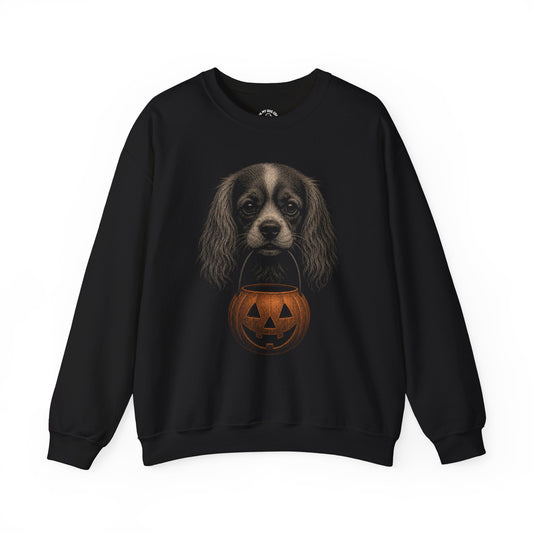 Cavalier King Charles Spaniel Halloween Sweatshirt – Boop or Treat