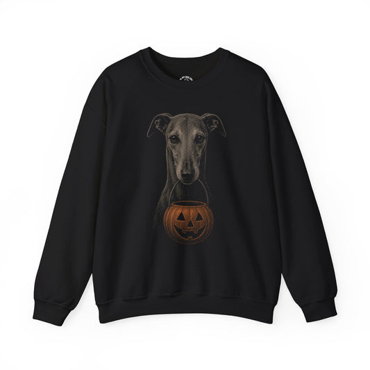 Greyhound Halloween Sweatshirt – Boop or Treat