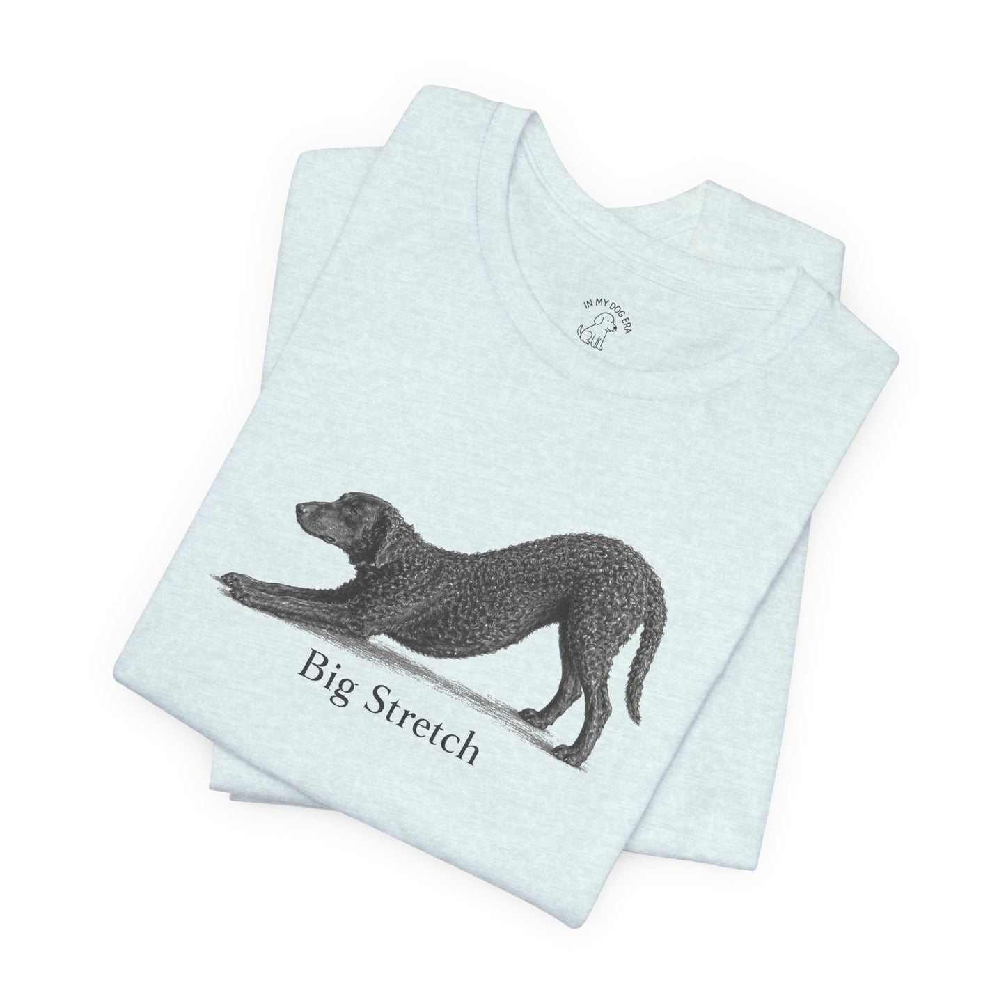 Big Stretch Curly Coated Retriever T-Shirt