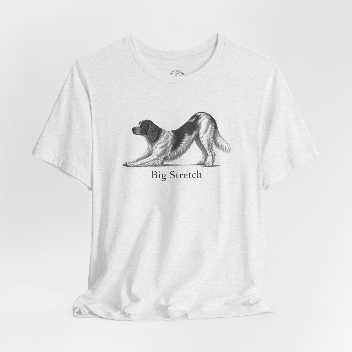 Big Stretch Irish Red and White Setter T-Shirt