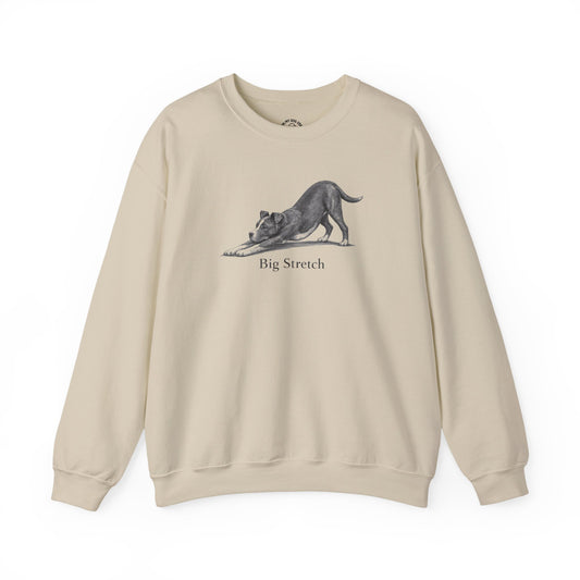 Big Stretch American Staffordshire Terrier Sweatshirt