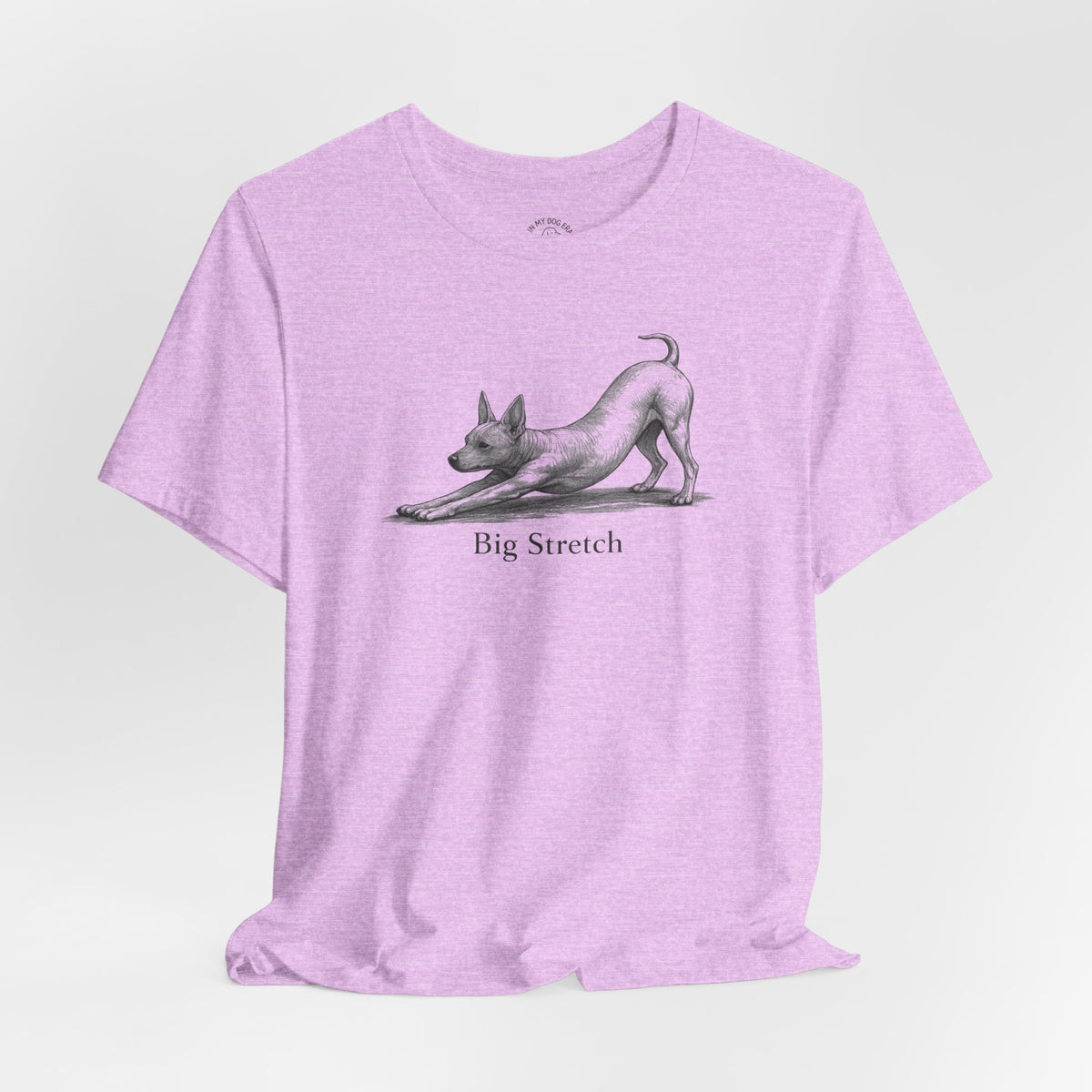 Big Stretch American Hairless Terrier T-Shirt