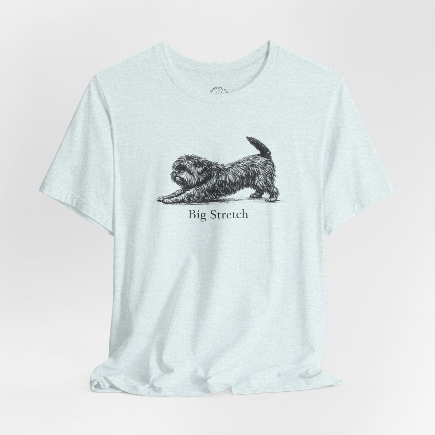 Big Stretch Affenpinscher T-Shirt
