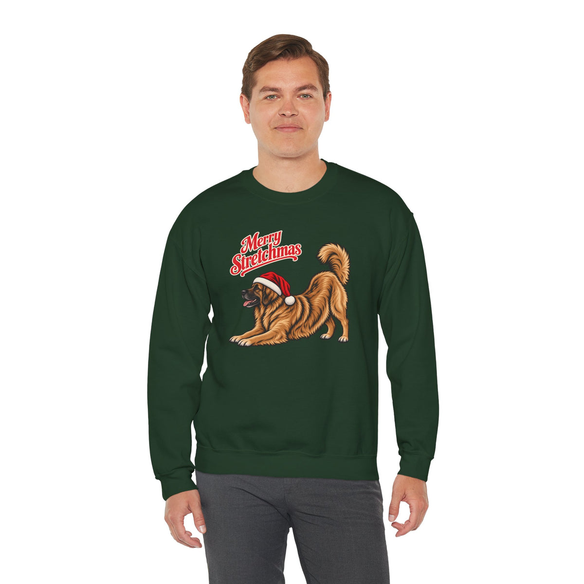 Leonberger Christmas Sweatshirt | Merry Stretchmas