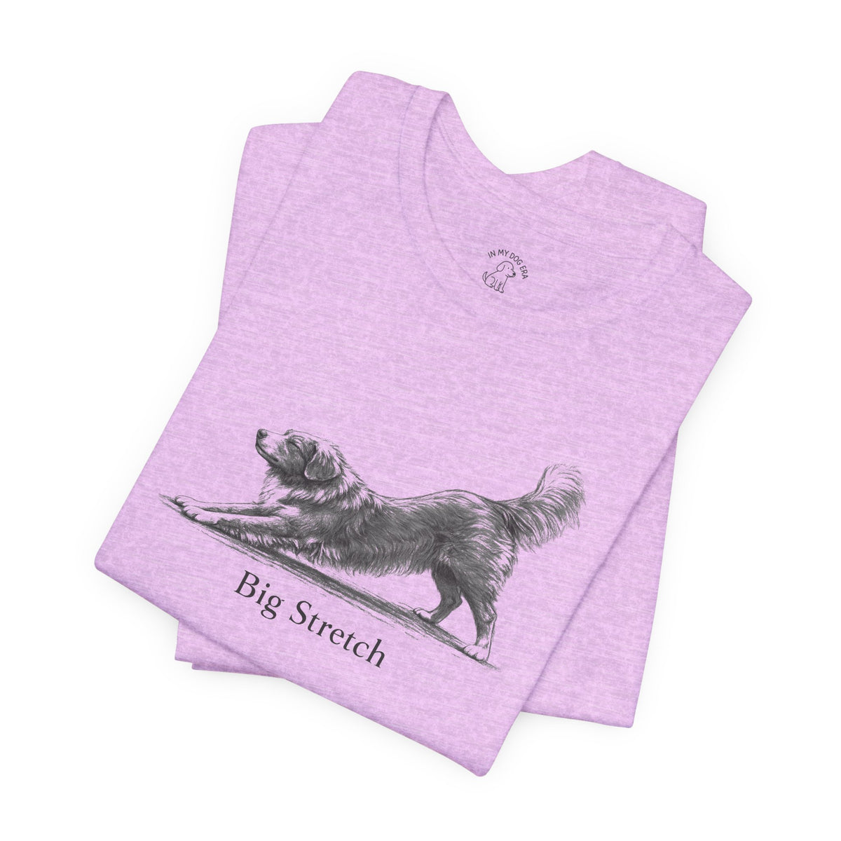 Big Stretch Nova Scotia Duck Tolling Retriever T-Shirt