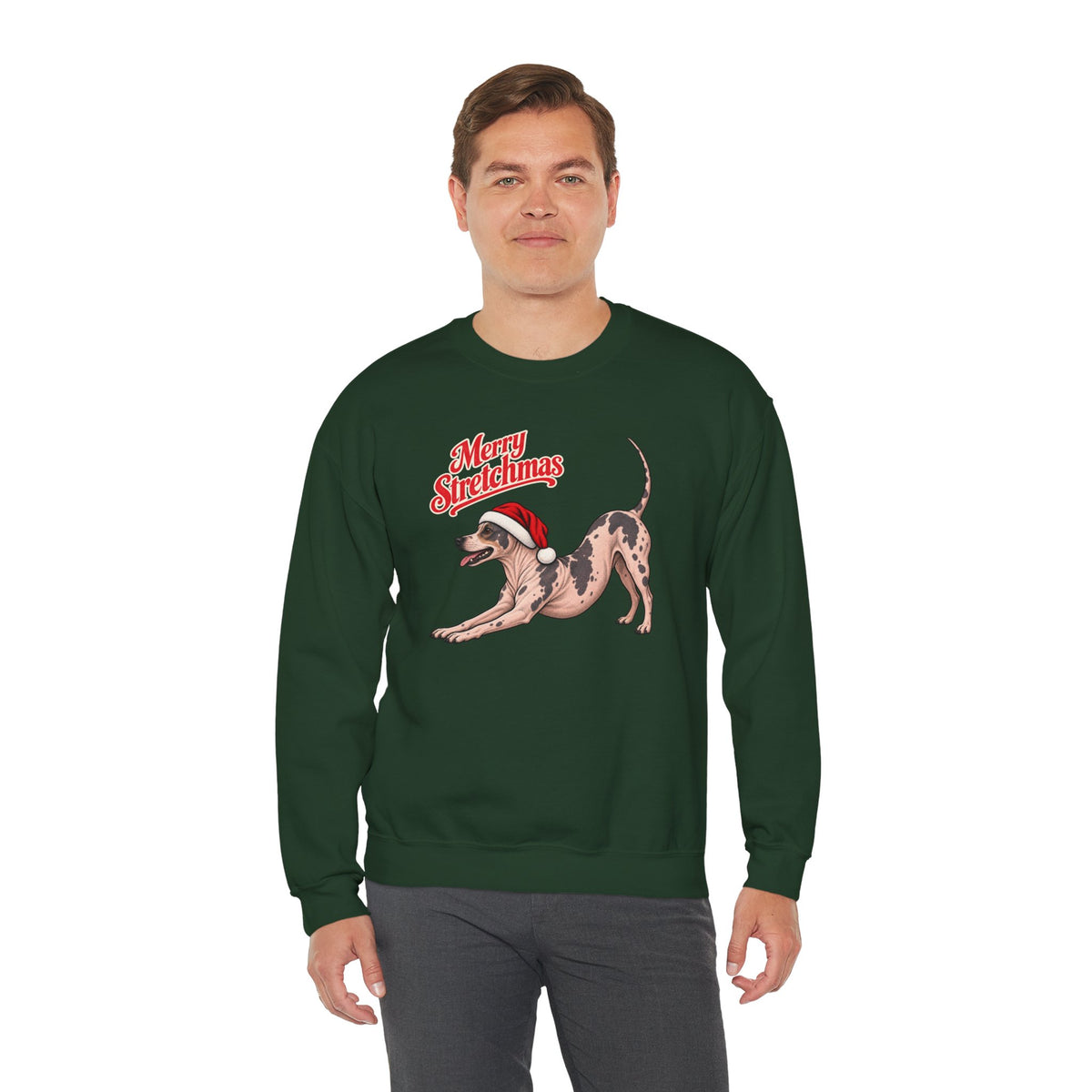 American Hairless Terrier Christmas Sweatshirt | Merry Stretchmas