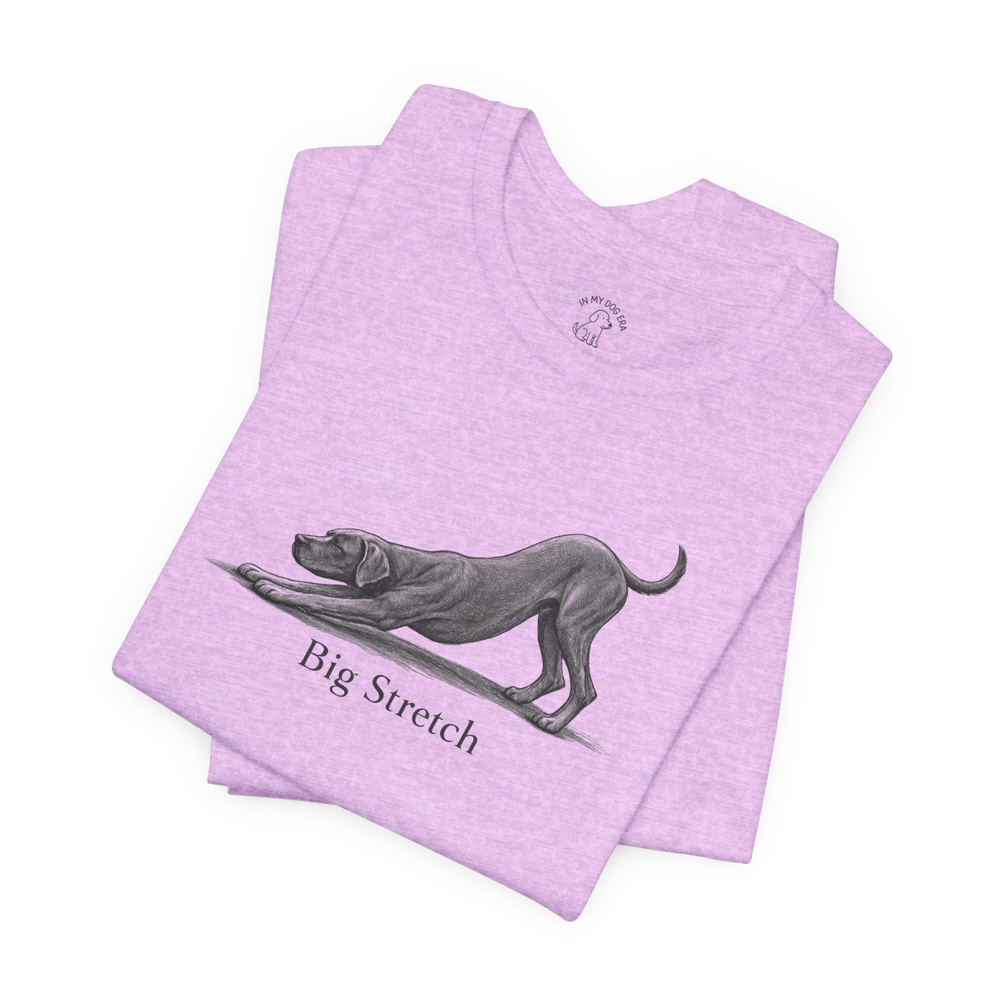 Big Stretch Great Dane T-Shirt
