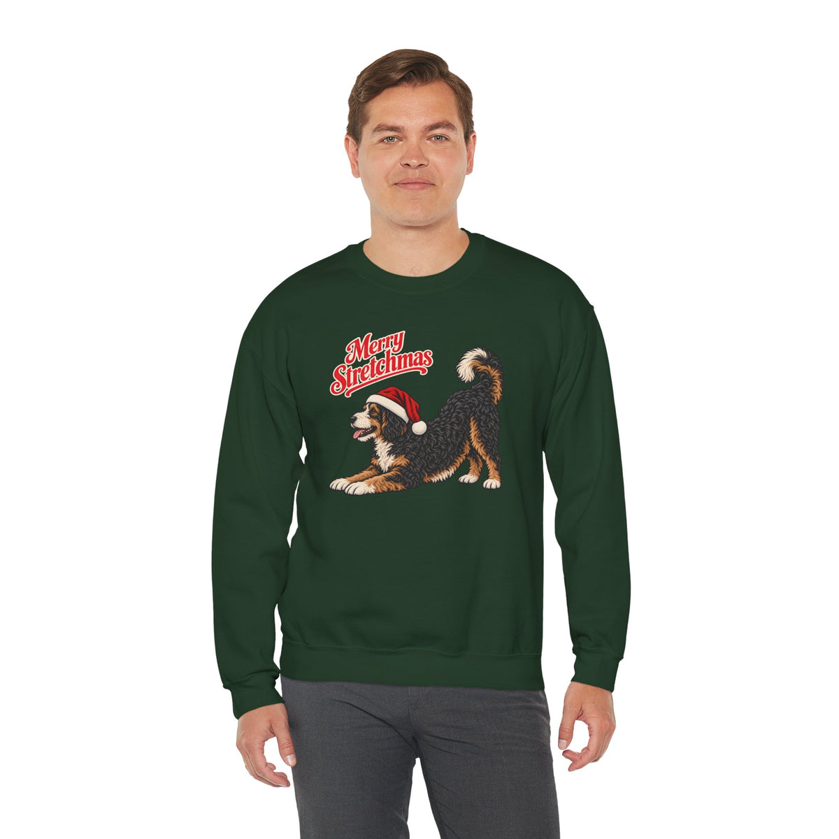 Bernedoodle Christmas Sweatshirt | Merry Stretchmas