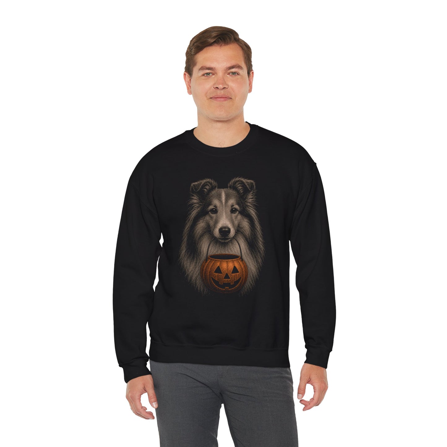 Shetland Sheepdog Halloween Sweatshirt – Boop or Treat